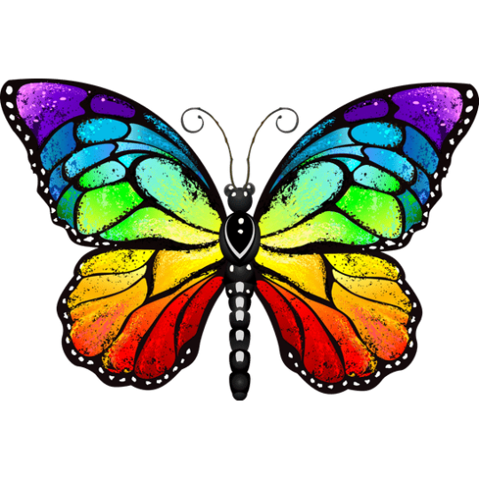rainbow-butterfly